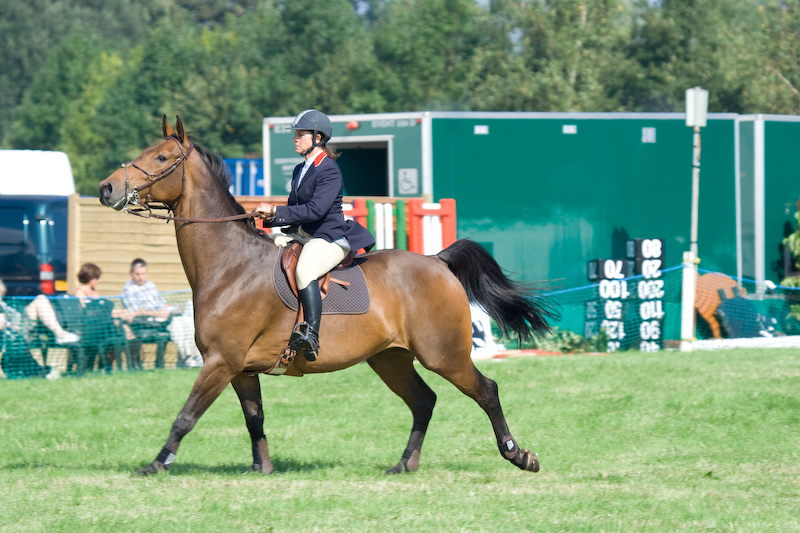 Le concours hippique...