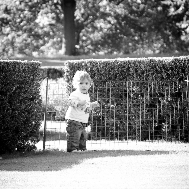 Promenade à Cliveden NT - 12 Octobre 2008