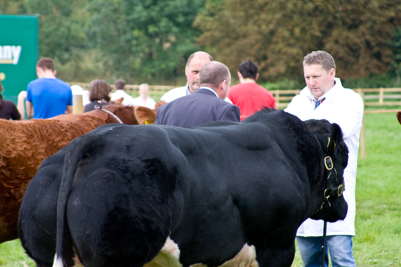 The Henley Show - 13 Septembre 2008