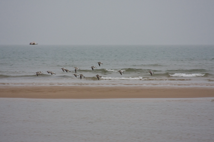 Nouvel-an avec Becky - Norfolk Coast - 01 Janvier 2009