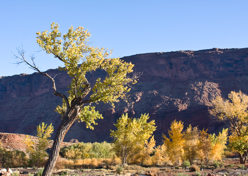 03 Novembre 2008 - Moab Utah