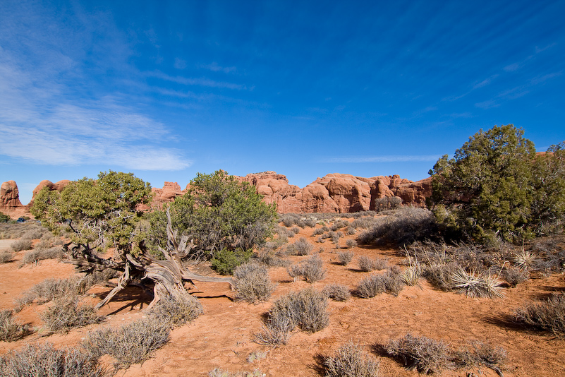 03 Novembre 2008 - Arches National Park Utah