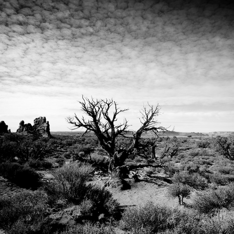 03 Novembre 2008 - Arches National Park Utah