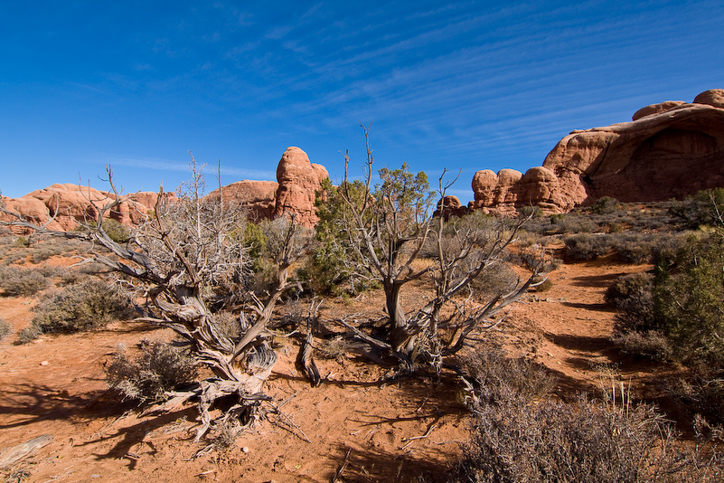 03 Novembre 2008 - Arches National Park Utah