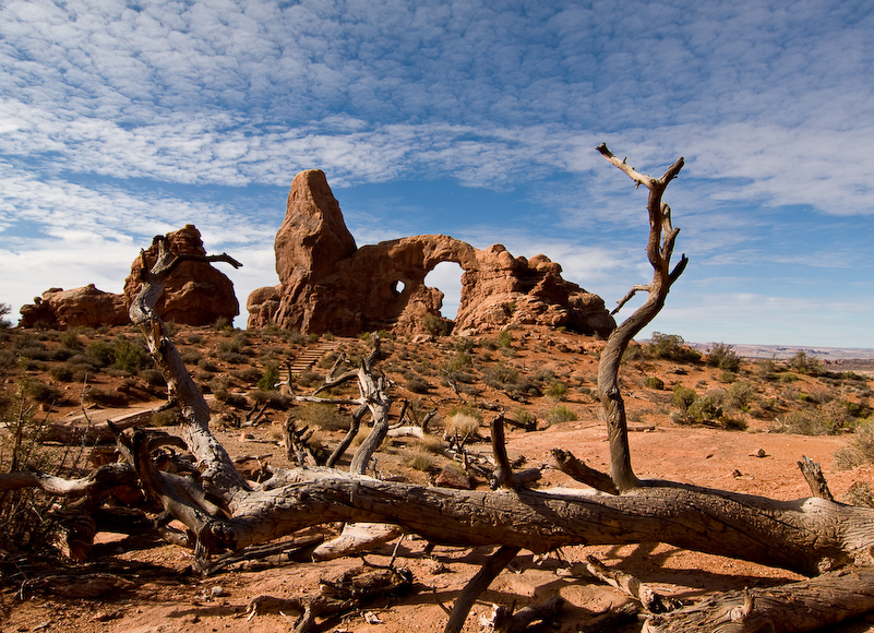 03 Novembre 2008 - Arches National Park Utah