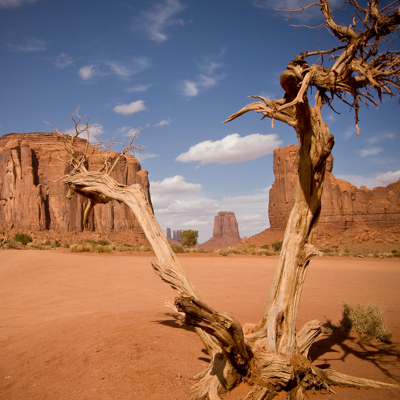 04 Novembre 2008 - Monument Valley National Park