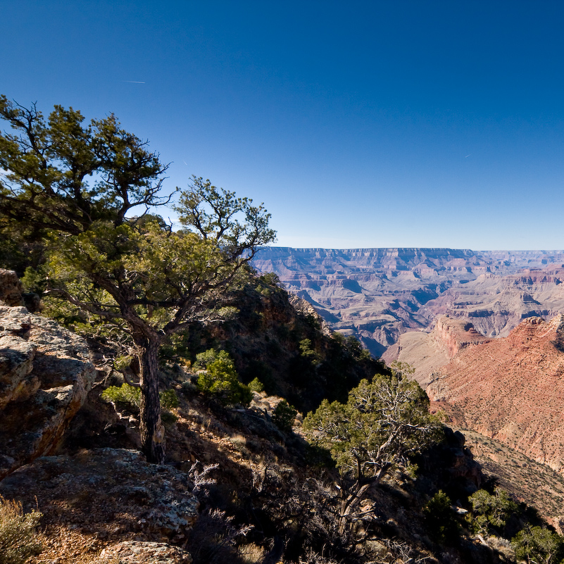 05 Novembre 2008 - Grand Canyon National Park
