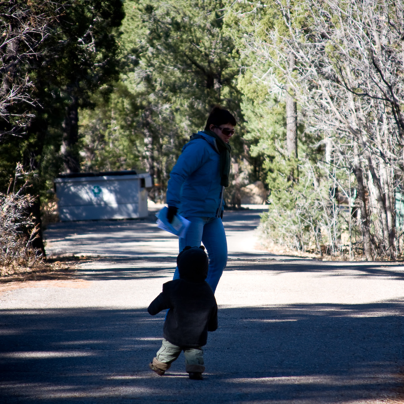 05 Novembre 2008 - Grand Canyon National Park