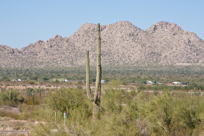 07 Novembre 2008 - Picacho Recreation Park
