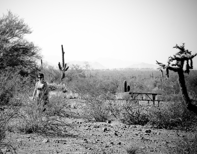 07 Novembre 2008 - Picacho Recreation Park