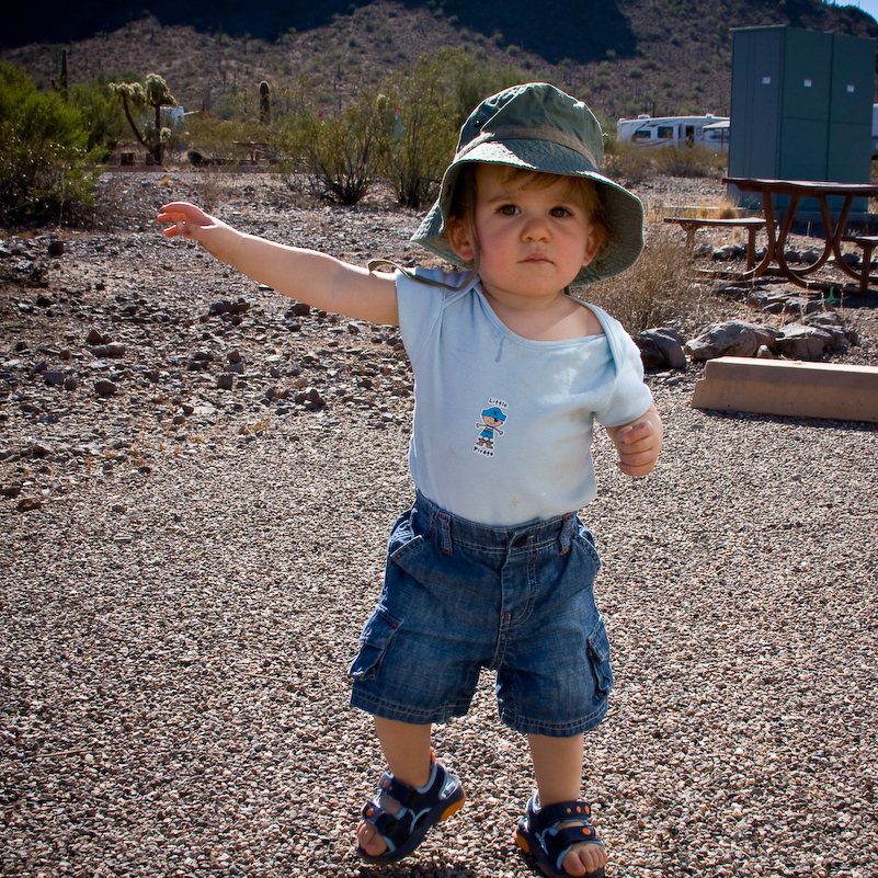 07 Novembre 2008 - Picacho Recreation Park