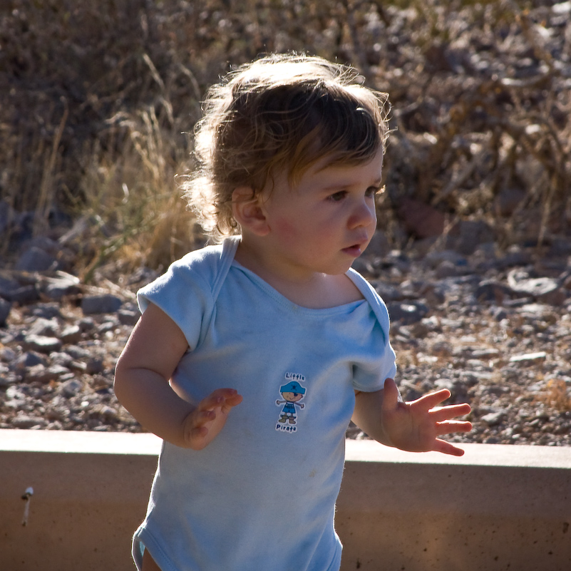 07 Novembre 2008 - Picacho Recreation Park