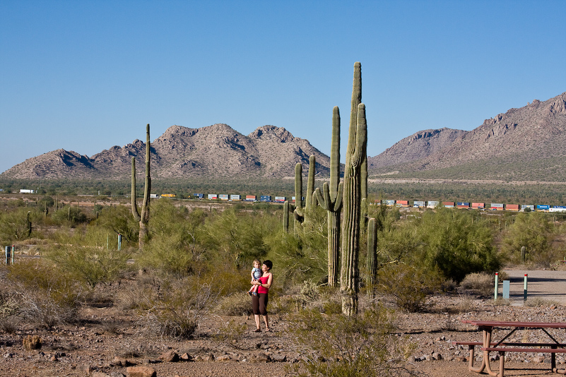 07 Novembre 2008 - Picacho Recreation Park