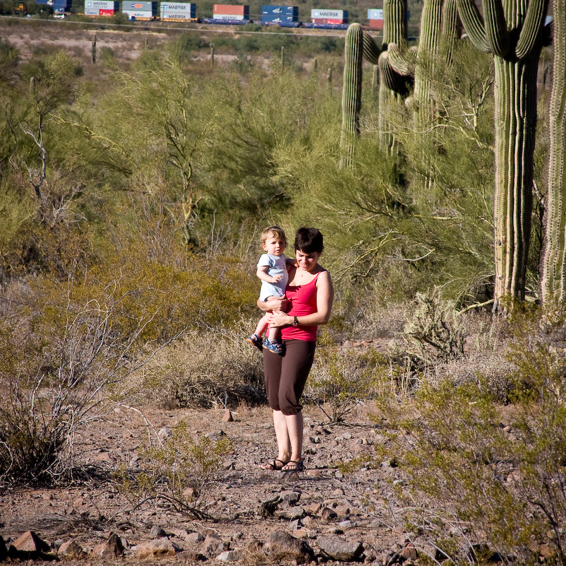 07 Novembre 2008 - Picacho Recreation Park