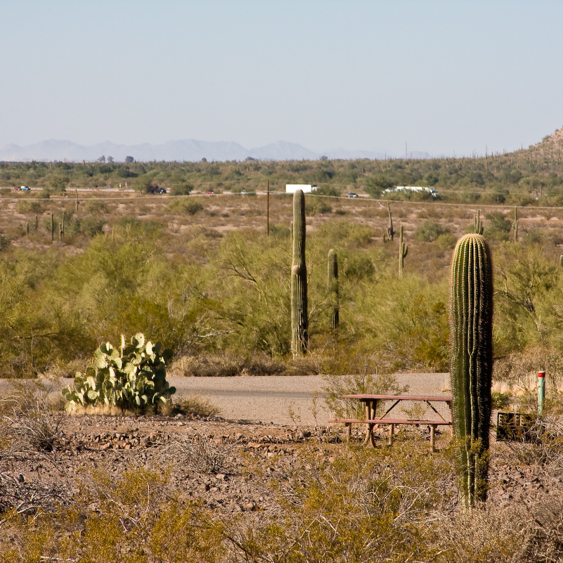 07 Novembre 2008 - Picacho Recreation Park