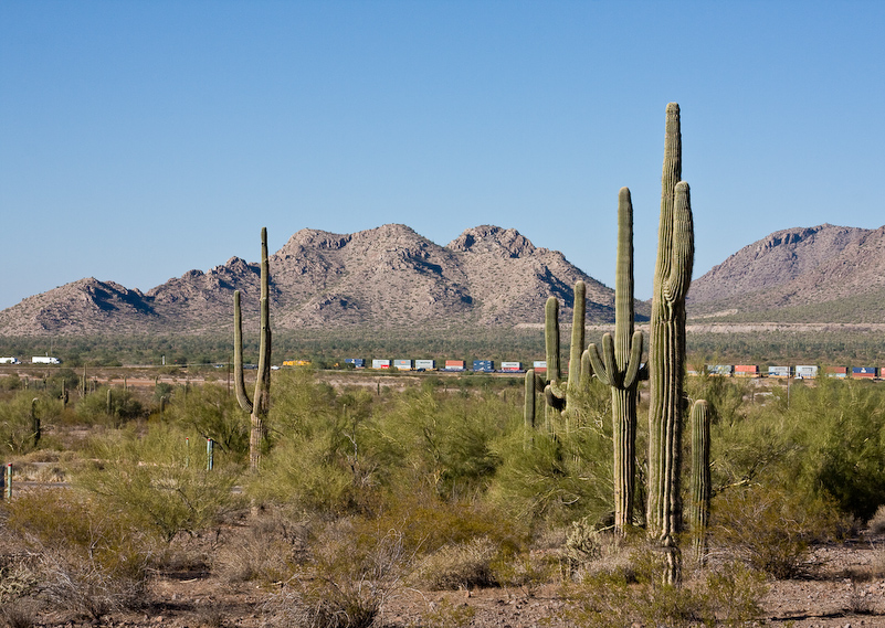 07 Novembre 2008 - Picacho Recreation Park