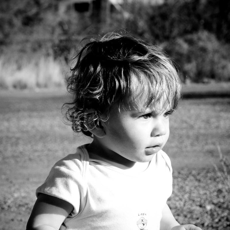 07 Novembre 2008 - Picacho Recreation Park