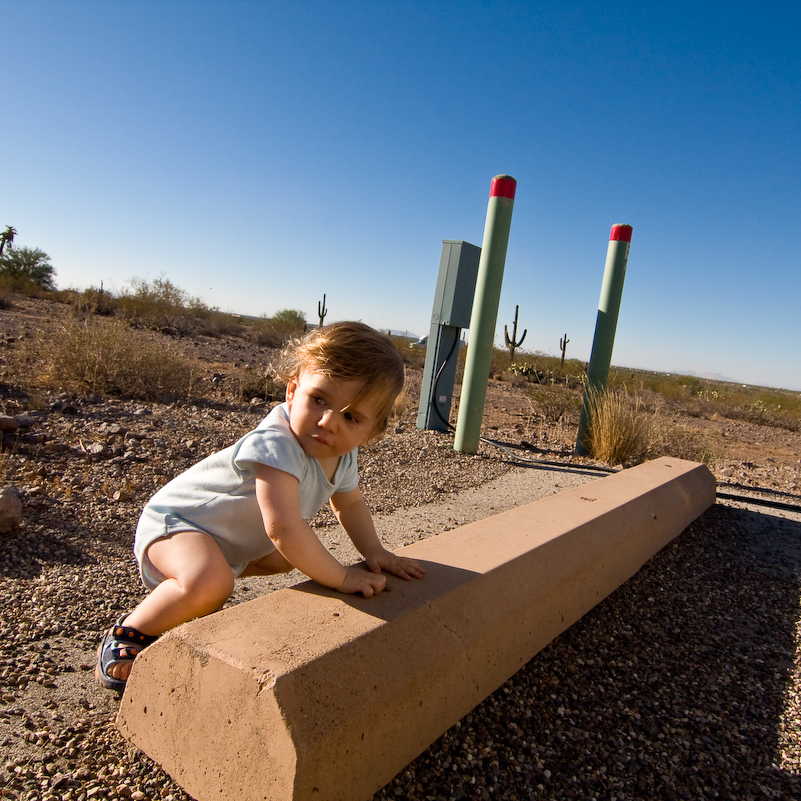 07 Novembre 2008 - Picacho Recreation Park