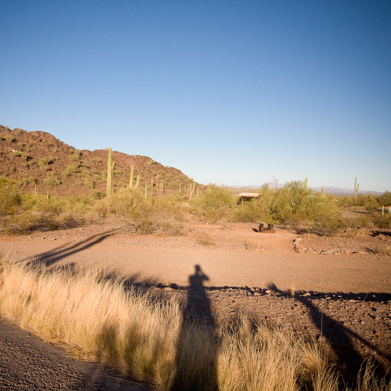 07 Novembre 2008 - Picacho Recreation Park