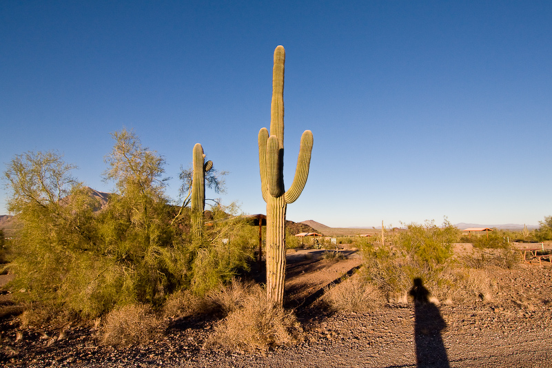 07 Novembre 2008 - Picacho Recreation Park