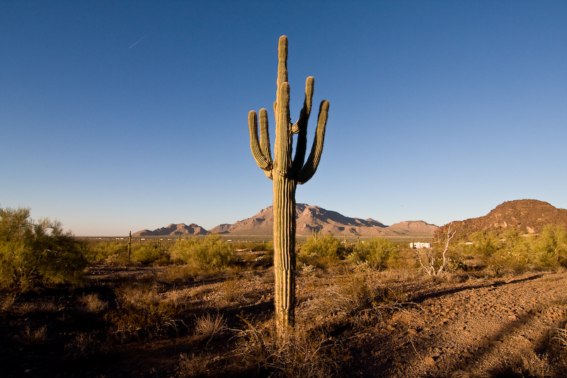 07 Novembre 2008 - Picacho Recreation Park