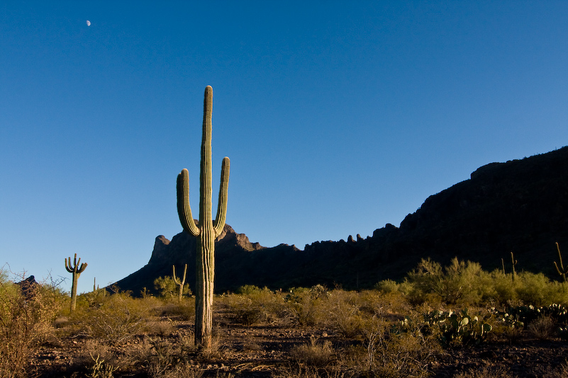 07 Novembre 2008 - Picacho Recreation Park