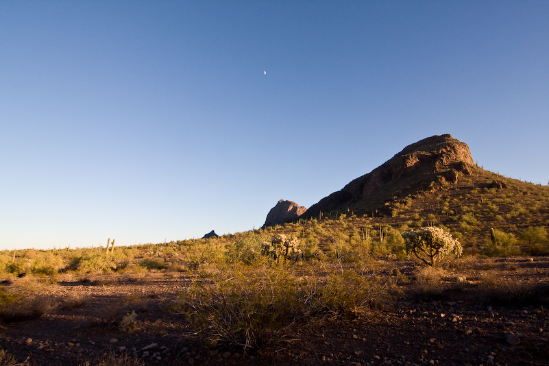 07 Novembre 2008 - Picacho Recreation Park