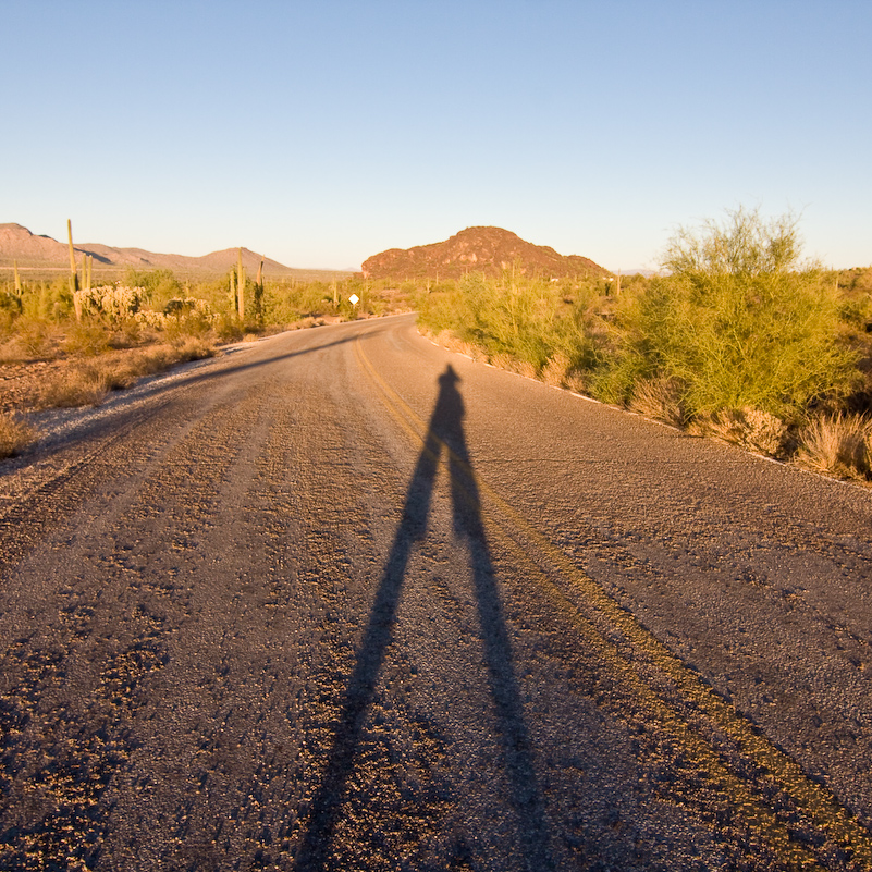 07 Novembre 2008 - Picacho Recreation Park