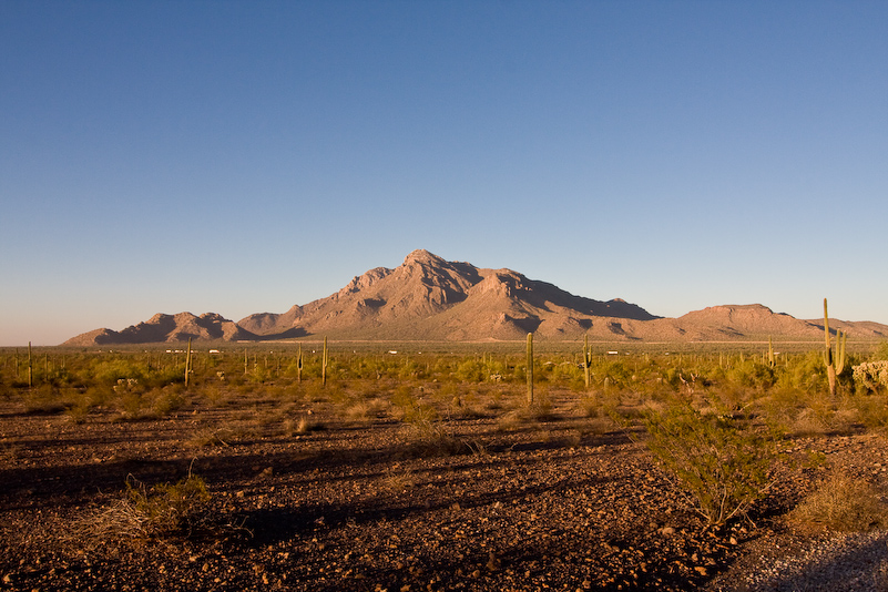 07 Novembre 2008 - Picacho Recreation Park