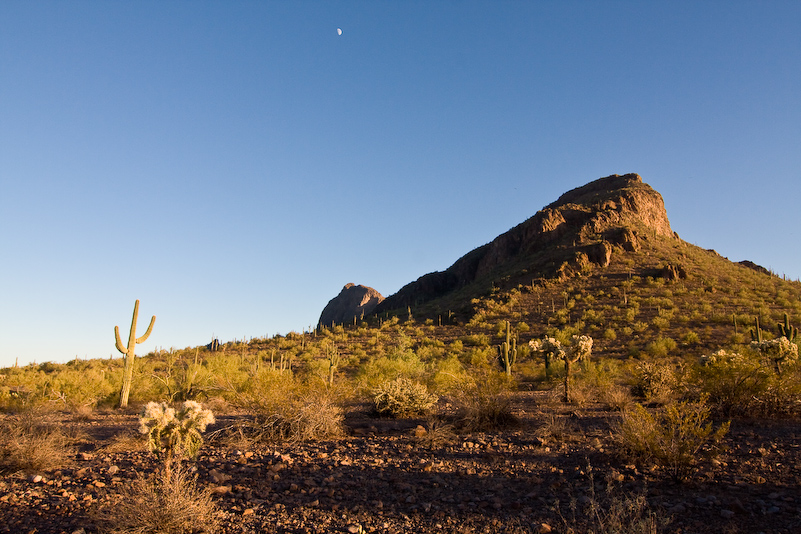 07 Novembre 2008 - Picacho Recreation Park