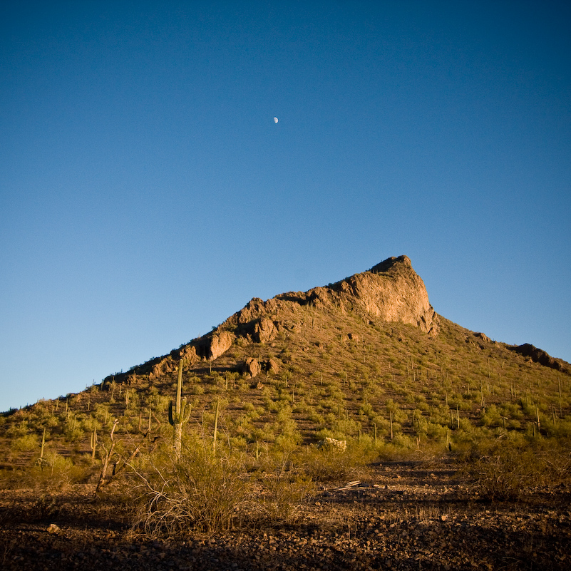 07 Novembre 2008 - Picacho Recreation Park
