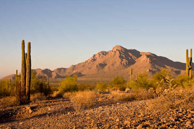 07 Novembre 2008 - Picacho Recreation Park