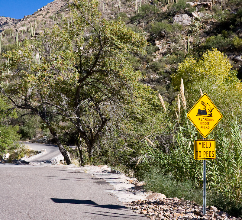 08 Novembre 2008 - Coronado National Forest - Arizona