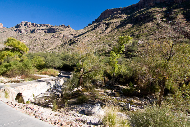 08 Novembre 2008 - Coronado National Forest - Arizona