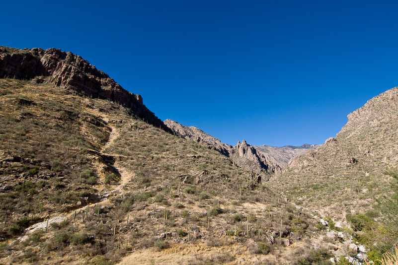 08 Novembre 2008 - Coronado National Forest - Arizona