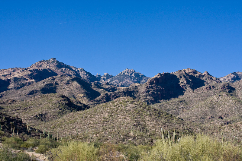 08 Novembre 2008 - Coronado National Forest - Arizona