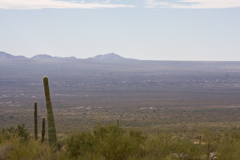 09 Novembre 2008 - Desert Museum Saguaro National Park - Arizona