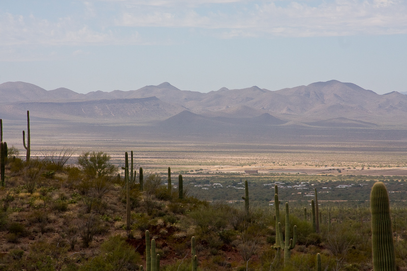 09 Novembre 2008 - Desert Museum Saguaro National Park - Arizona