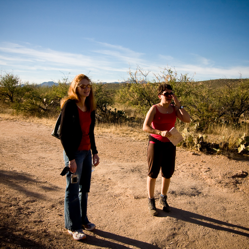 12 Novembre 2008 - Catalina National Forest - Arizona