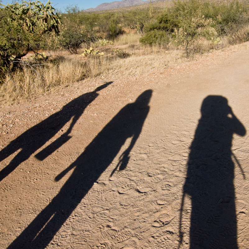 12 Novembre 2008 - Catalina National Forest - Arizona