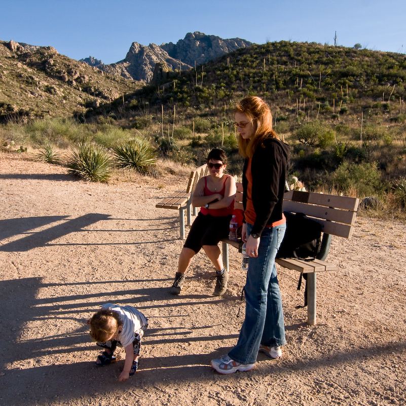 12 Novembre 2008 - Catalina National Forest - Arizona