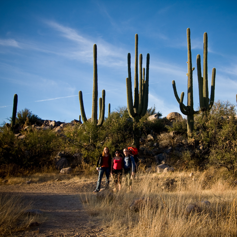 12 Novembre 2008 - Catalina National Forest - Arizona