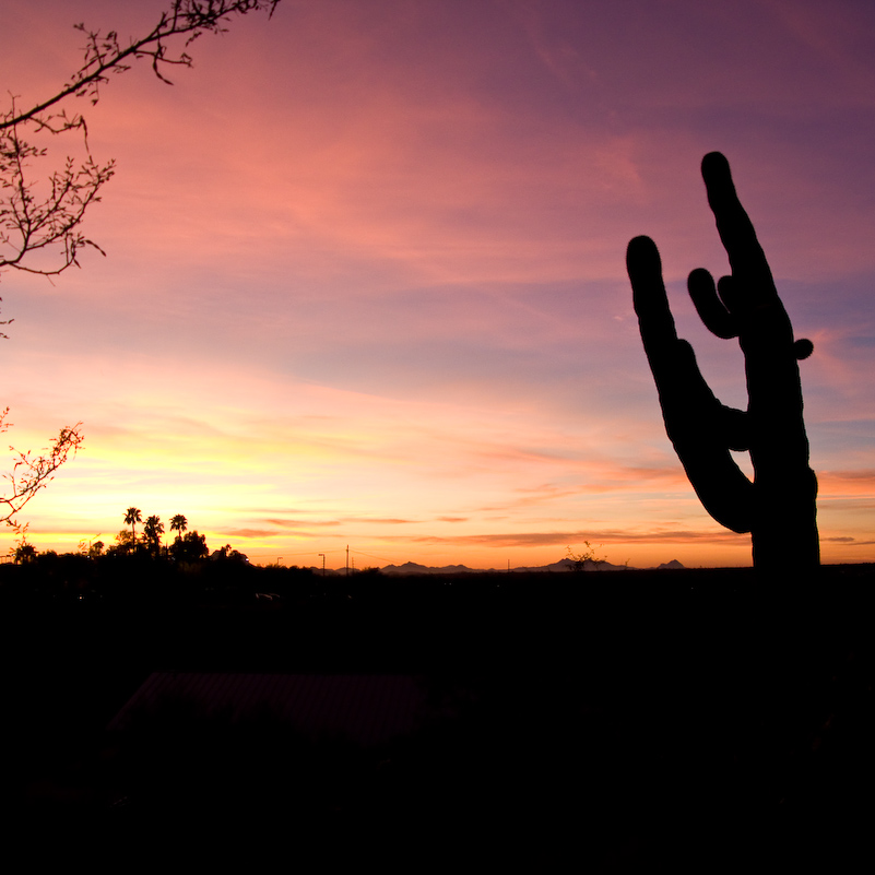 14 Novembre 2008 - Sunset in Tucson
