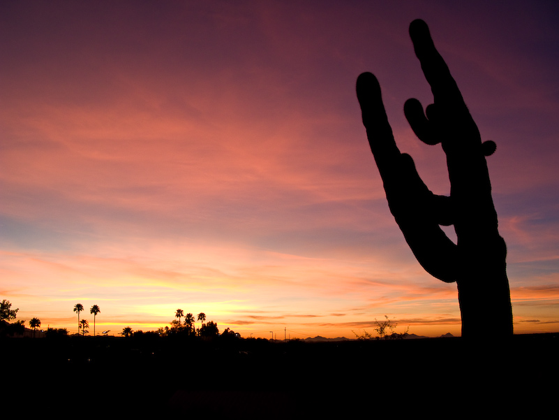 14 Novembre 2008 - Sunset in Tucson