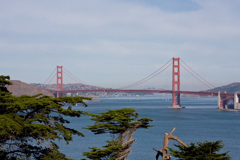 22 Novembre 2008 - San Francisco - California
