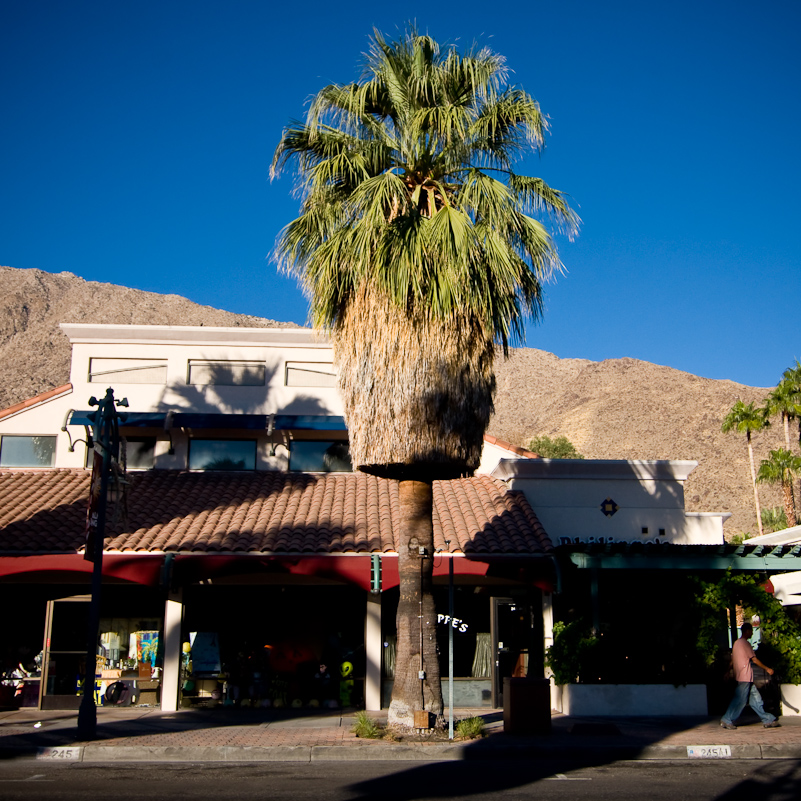 Palm Springs - 02 November 2009