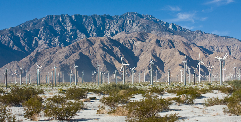 Palm Springs - 03 November 2009