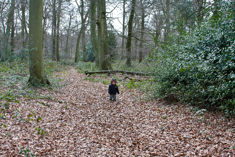 Hambleden - 8 mars 2009