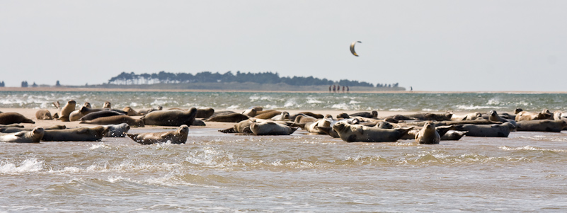 Norfolk Coast - 16 August 2009