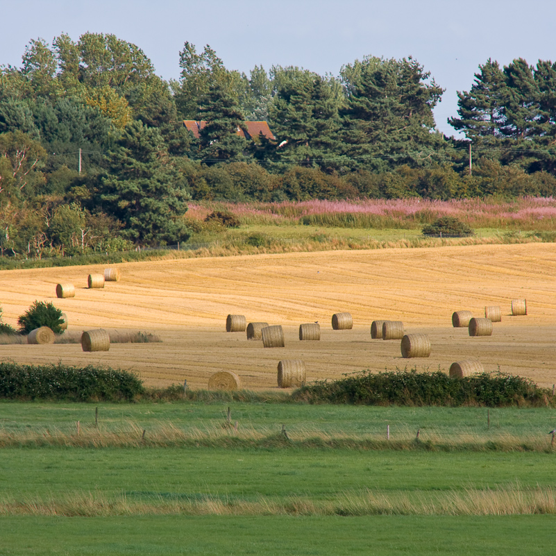 Norfolk Coast - 16 August 2009